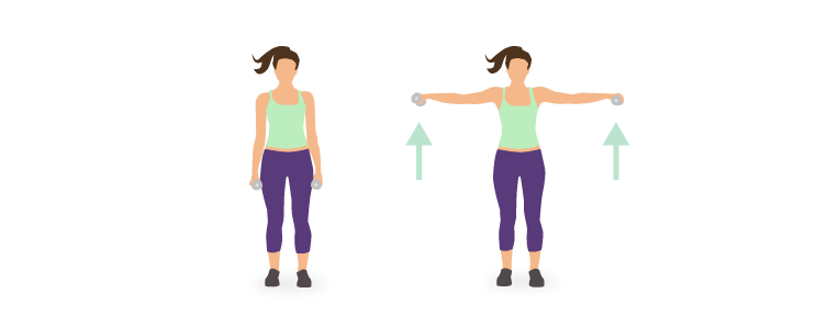 L'élévation latérale